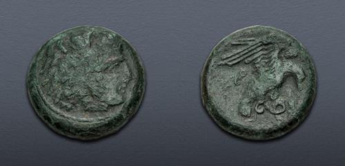 Lot 21 image