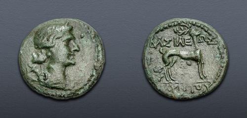 Lot 216 image