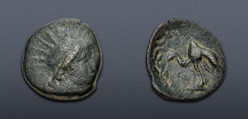 Lot 256 image