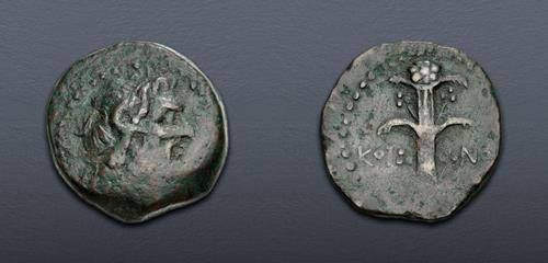 Lot 273 image