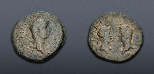 Lot 307 image