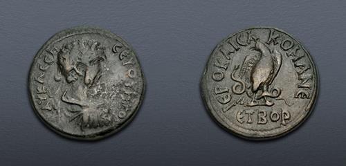 Lot 308 image