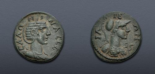Lot 319 image