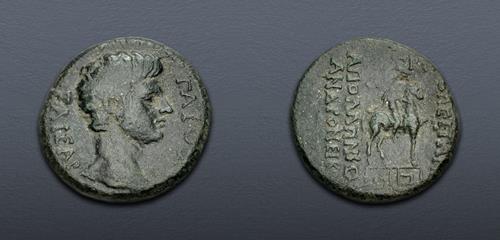 Lot 331 image