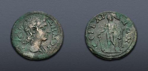 Lot 355 image