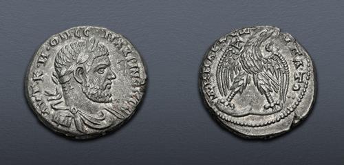 Lot 456 image