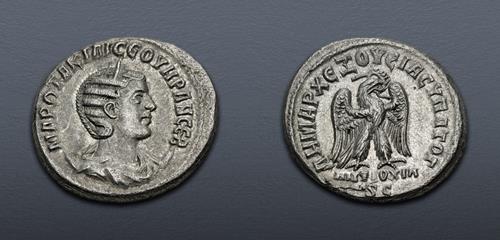 Lot 462 image