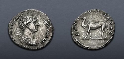 Lot 500 image