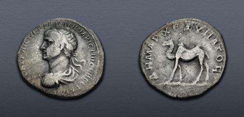 Lot 501 image