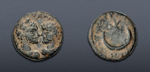Lot 503 image