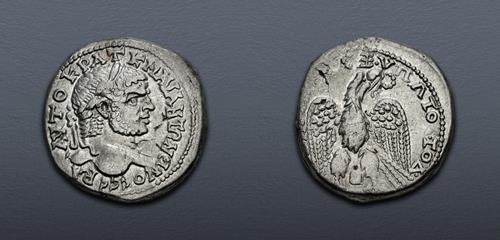 Lot 504 image