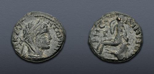 Lot 505 image