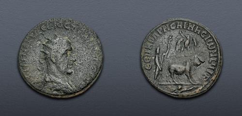 Lot 507 image
