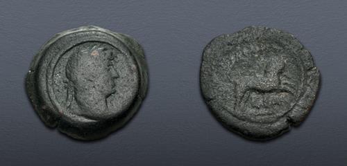 Lot 510 image