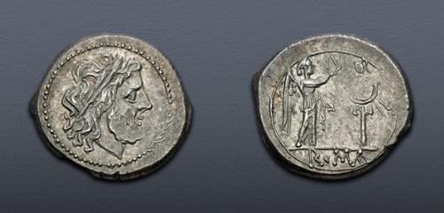 Lot 513 image