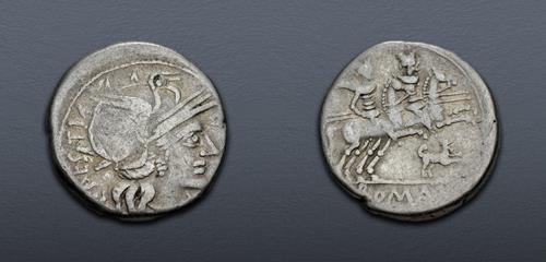 Lot 515 image
