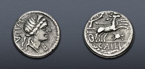 Lot 527 image
