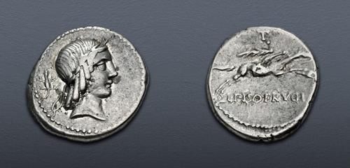 Lot 528 image