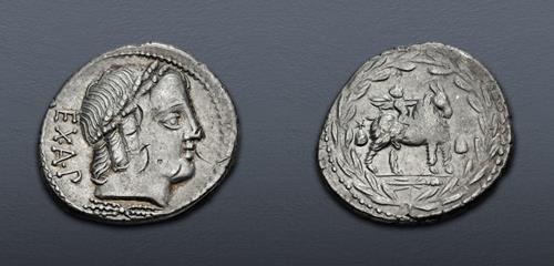 Lot 535 image