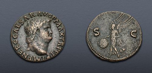 Lot 557 image