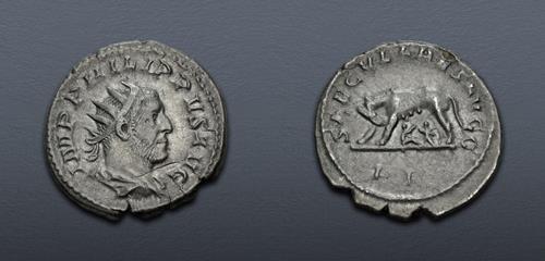 Lot 637 image