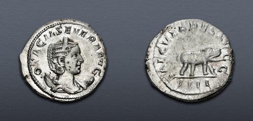 Lot 638 image