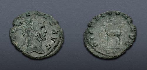 Lot 642 image