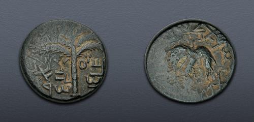 Lot 197 image