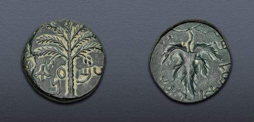 Lot 203 image