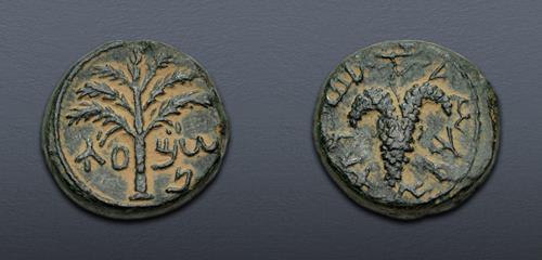 Lot 204 image