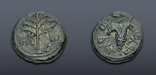 Lot 205 image
