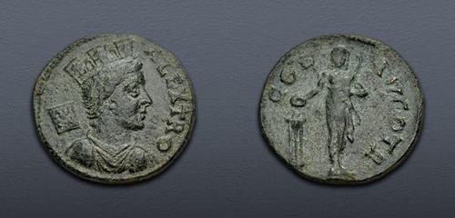 Lot 311 image