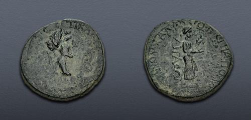 Lot 313 image