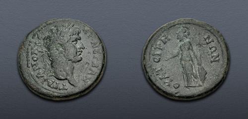 Lot 331 image