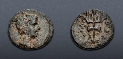 Lot 335 image