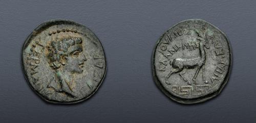 Lot 342 image