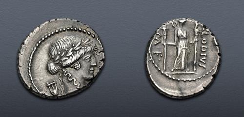Lot 467 image