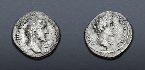 Lot 491 image