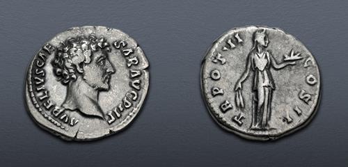 Lot 496 image