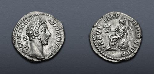 Lot 503 image