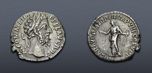Lot 504 image