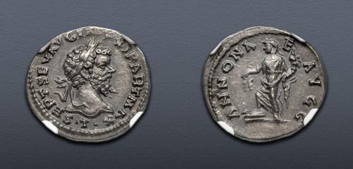 Lot 511 image