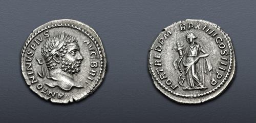 Lot 517 image