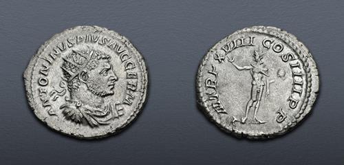 Lot 518 image