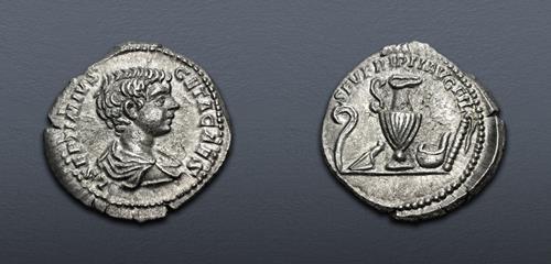 Lot 520 image