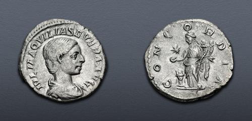 Lot 524 image