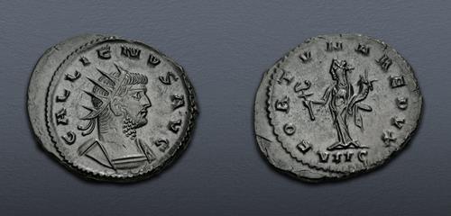 Lot 535 image