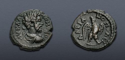 Lot 355 image