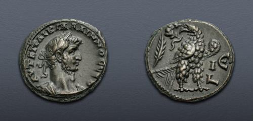 Lot 465 image