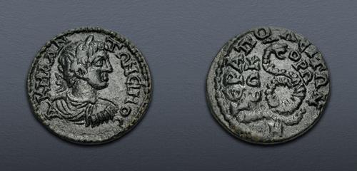 Lot 273 image